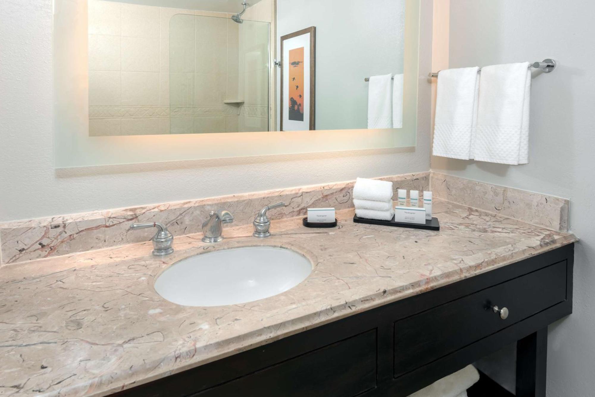 Embassy Suites Dallas - Park Central Area Esterno foto
